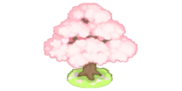 家具/桜の木